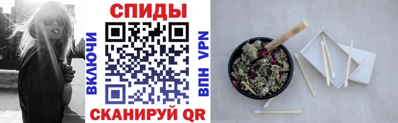 где найти   Иннополис  Бутират буратино 