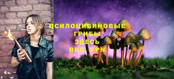 героин Алексин