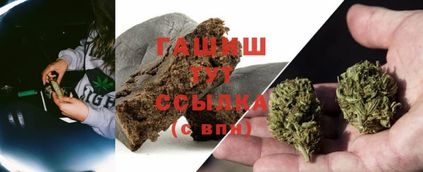 ПСИЛОЦИБИНОВЫЕ ГРИБЫ Абаза